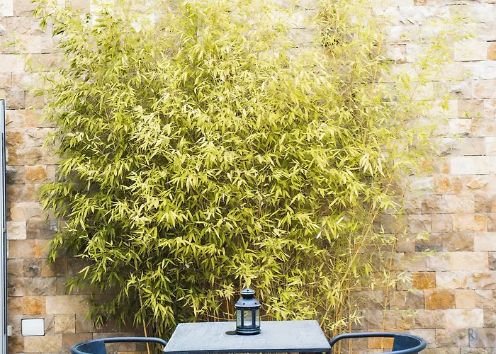 D'obidos אובידוס