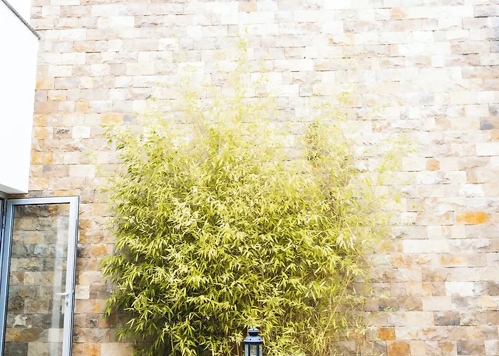 D'obidos 4* אובידוס